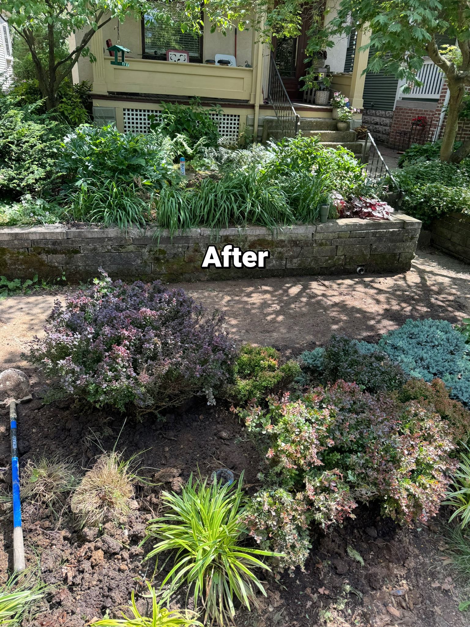 After Waterline Replacement